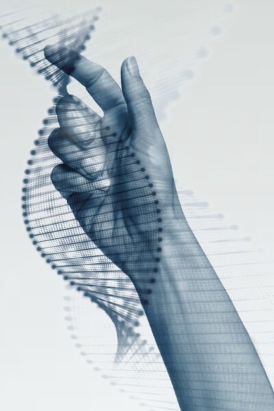 Genetic Plan: Test genetico